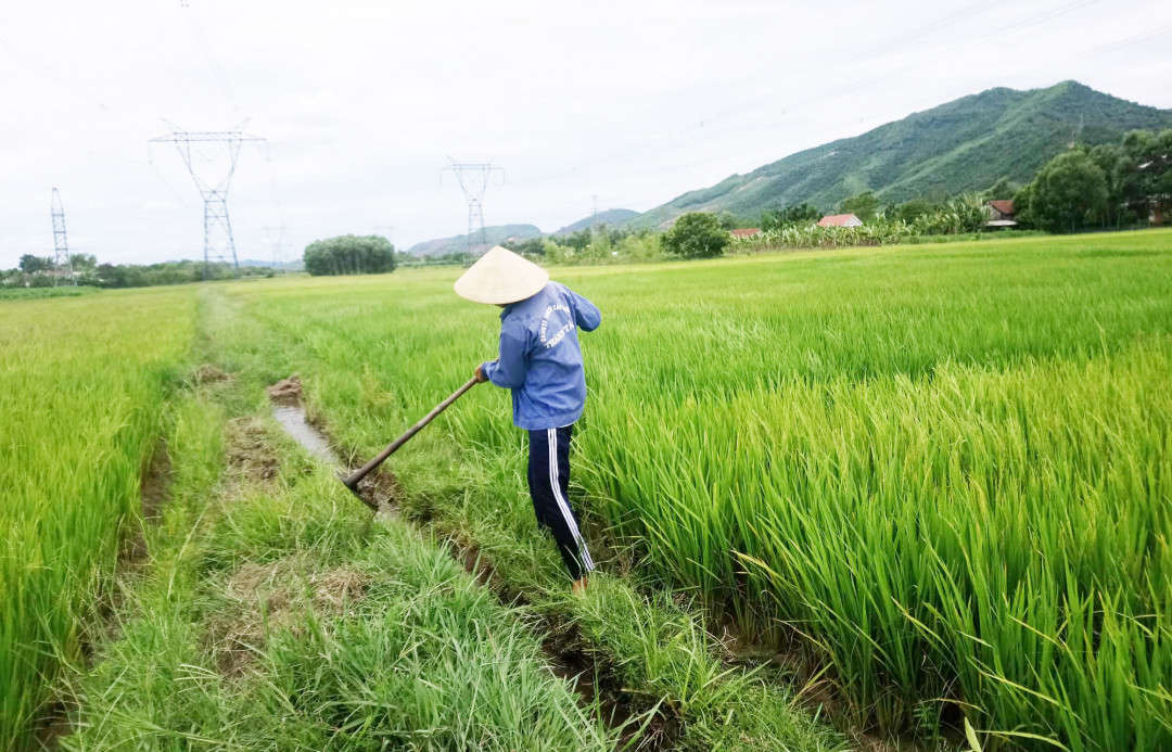 Người nông dân đang khó khăn trong việc tìm kiếm nguồn nước cho cây trồng