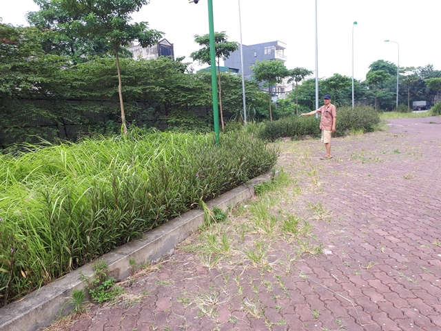 sai pham KĐT Vinh Hoang 1