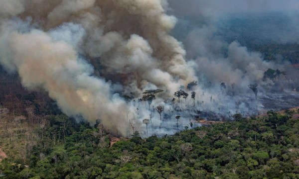 Khói bay ra từ đám cháy trong rừng Amazon ở Candeias do Jamari, Porto Velho thuộc bang Rondônia. Ảnh: Victor Moriyama / AFP / Getty Images
