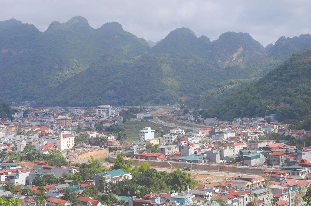 DSC 5049