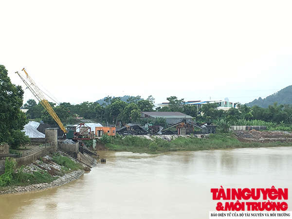 Bãi tập kết than trái phép của Công ty TNHH Danh Hiệp tọa lạc trên đất rộng gần 5.000 m².