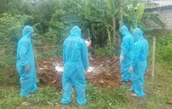 Dịch tả lợn Châu Phi đang diễn biến phức tạp tại Nghệ An