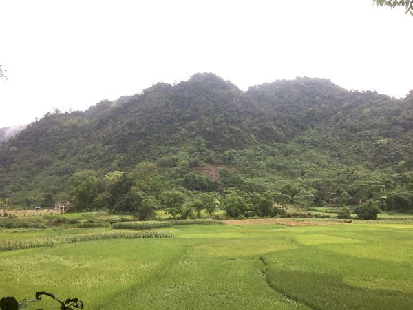 104 công trình, dự án thực hiện trong năm 2019 trên tổng diện tích 342,231 ha, trong đó đất trồng lúa chiếm 79,743 ha.