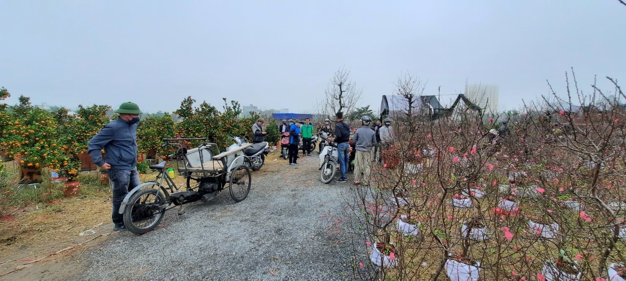 z3148514829595_ba7838a9ae582b8e632544415befa220.jpg
