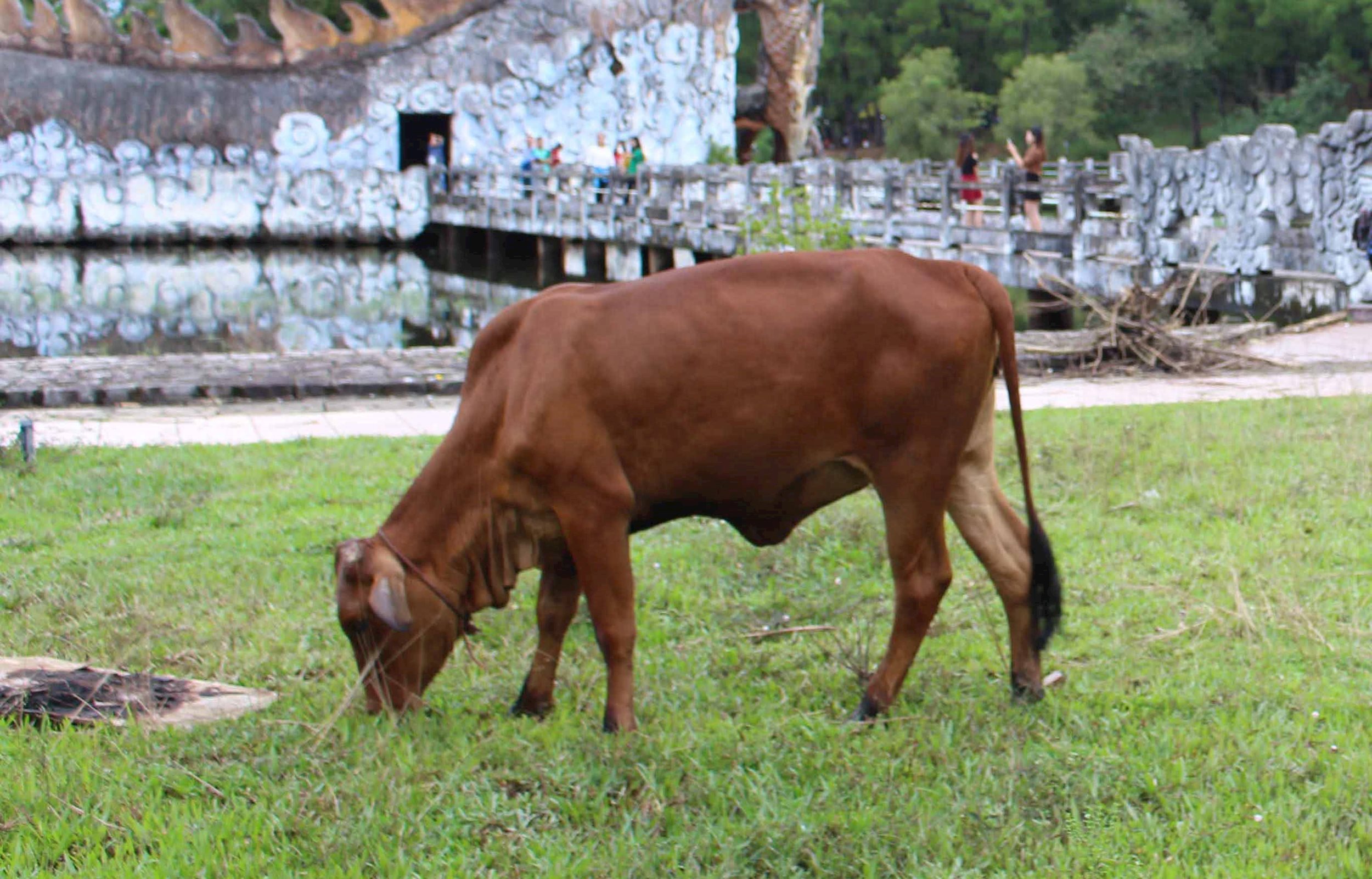 a8.jpg