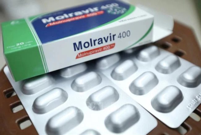 molnupiravir-24222m-1646052932619-16460529330601705813105-164605296052115081903-16460532311511635253811.jpeg