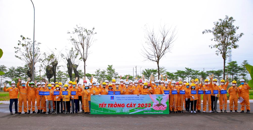 kvt1.-ra-quan-trong-cay.jpg