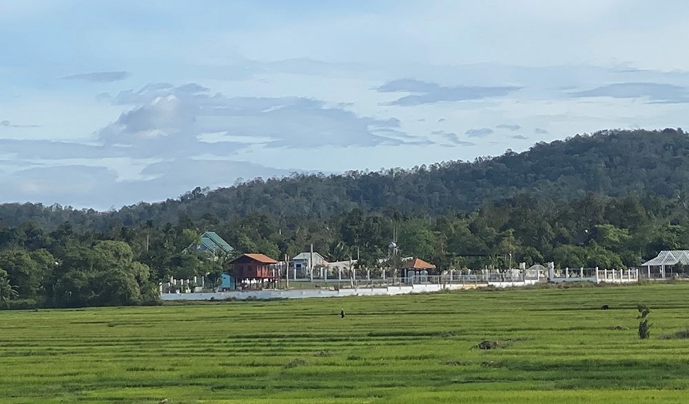 dat-nong-nghiep.jpg