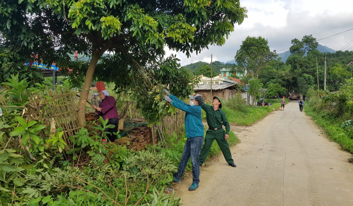 anh-dh-01.jpg