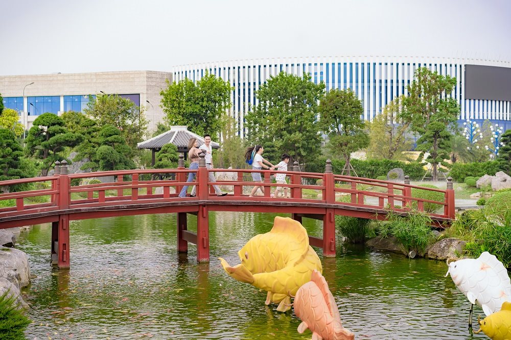 pic3.jpg
