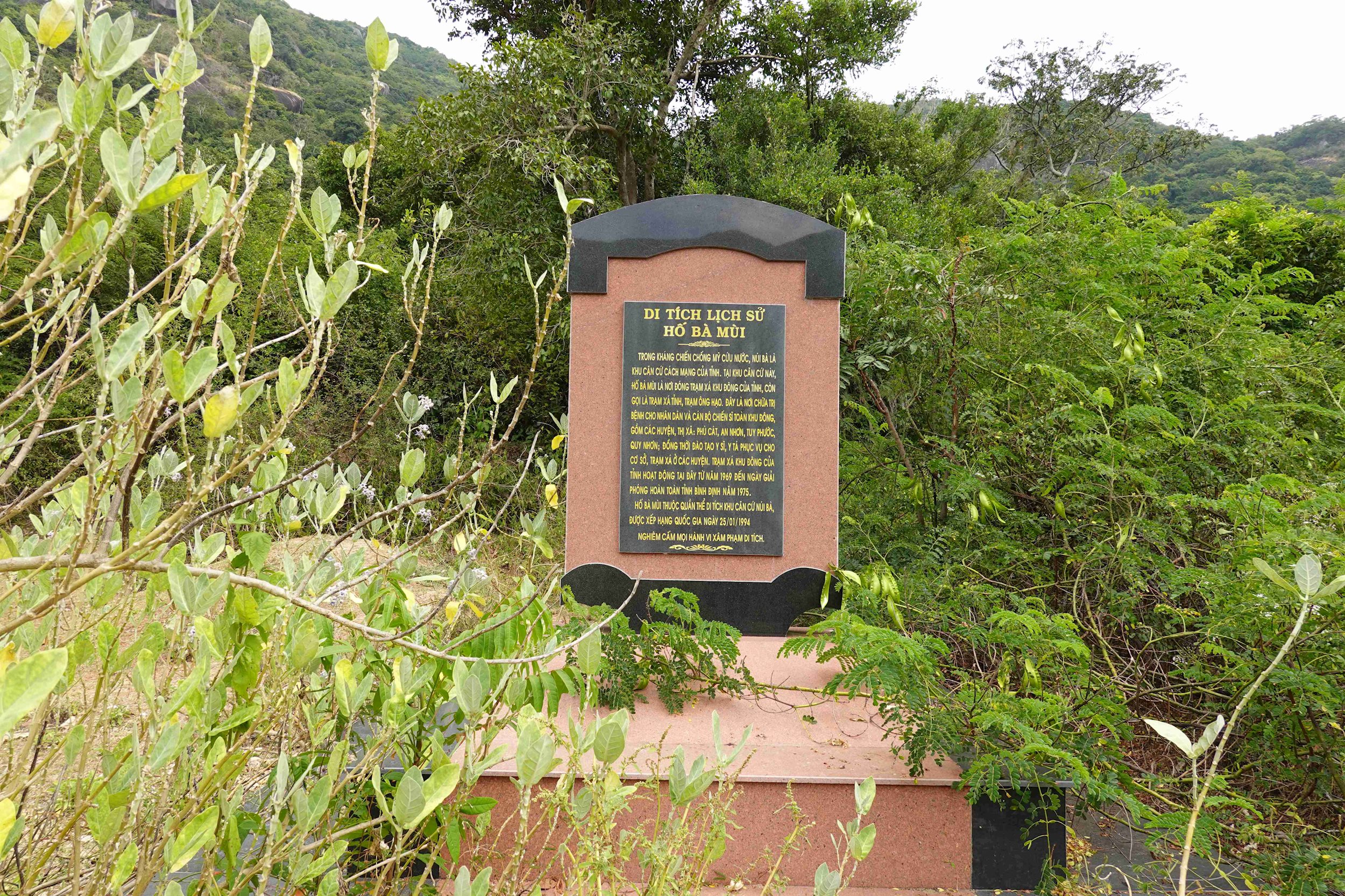 dsc02012.jpg