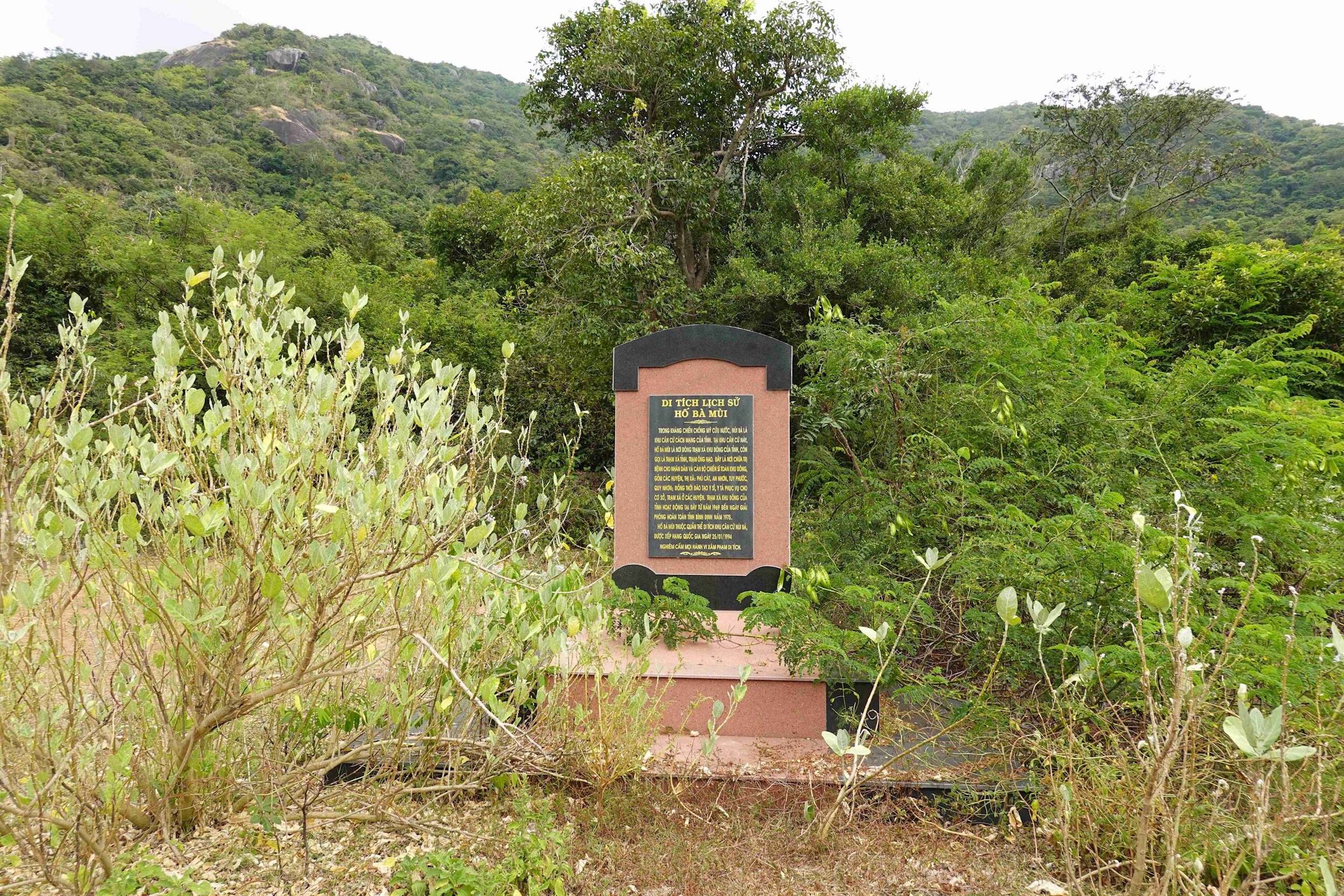 dsc02018.jpg