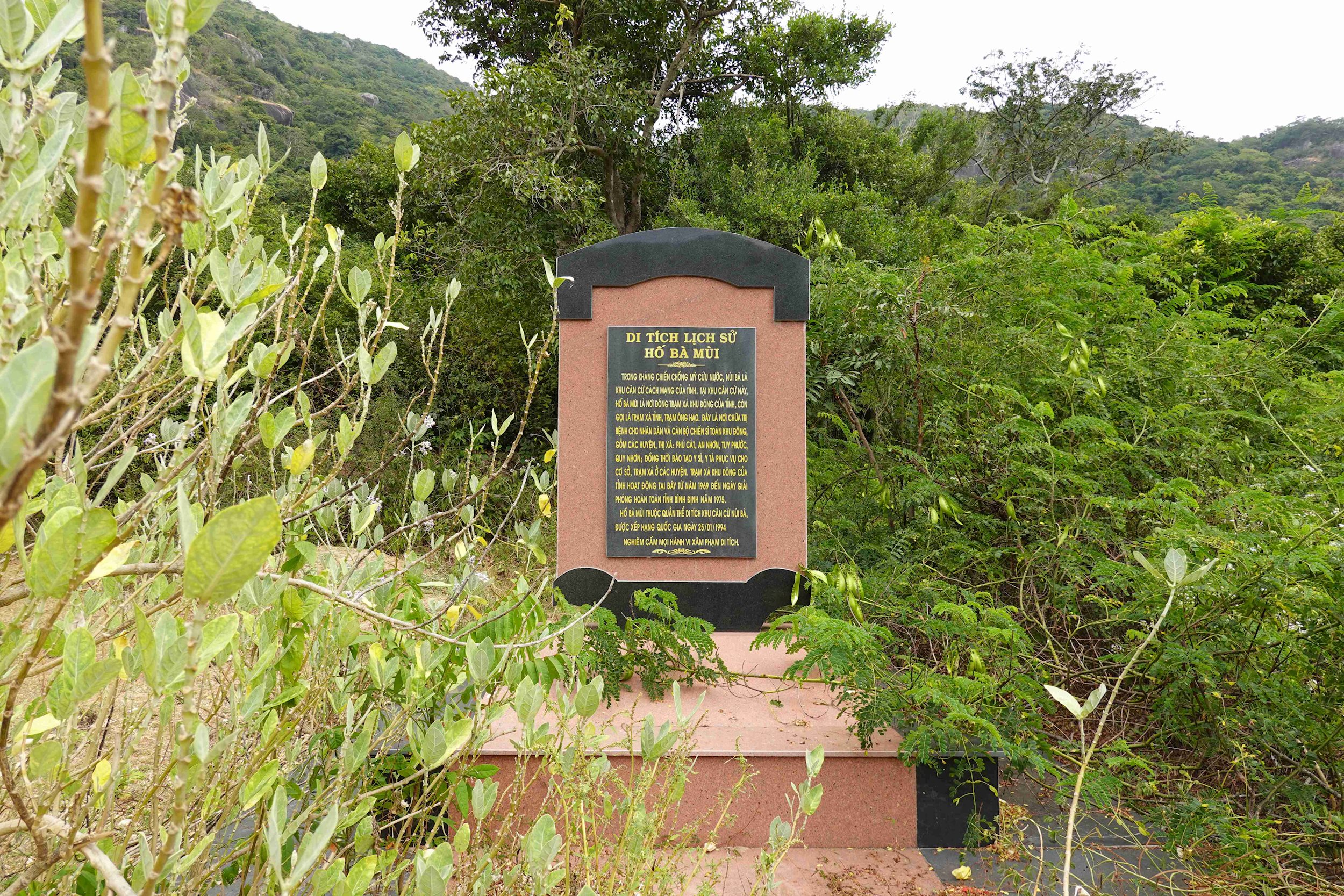 dsc02013.jpg