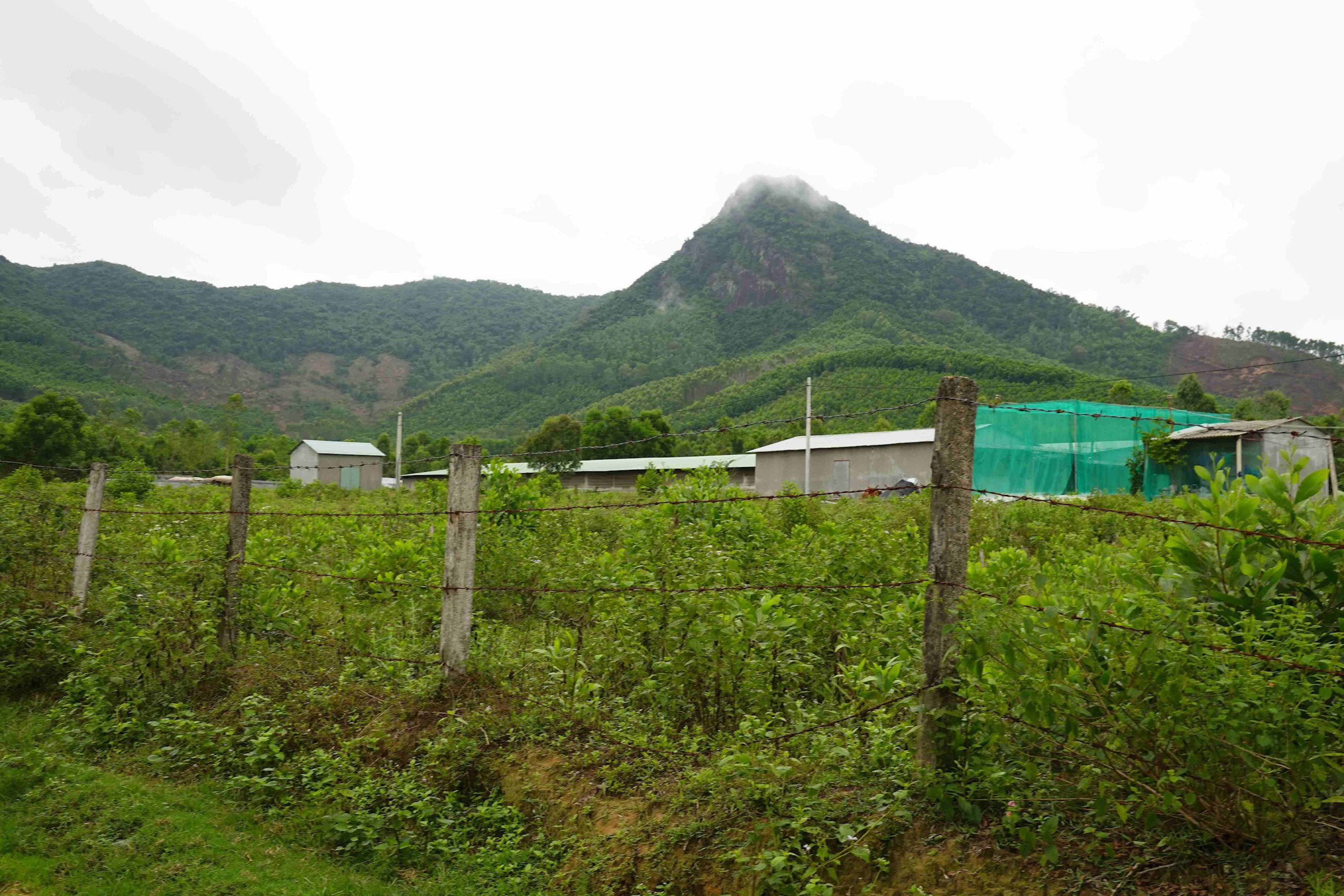 dsc02352.jpg