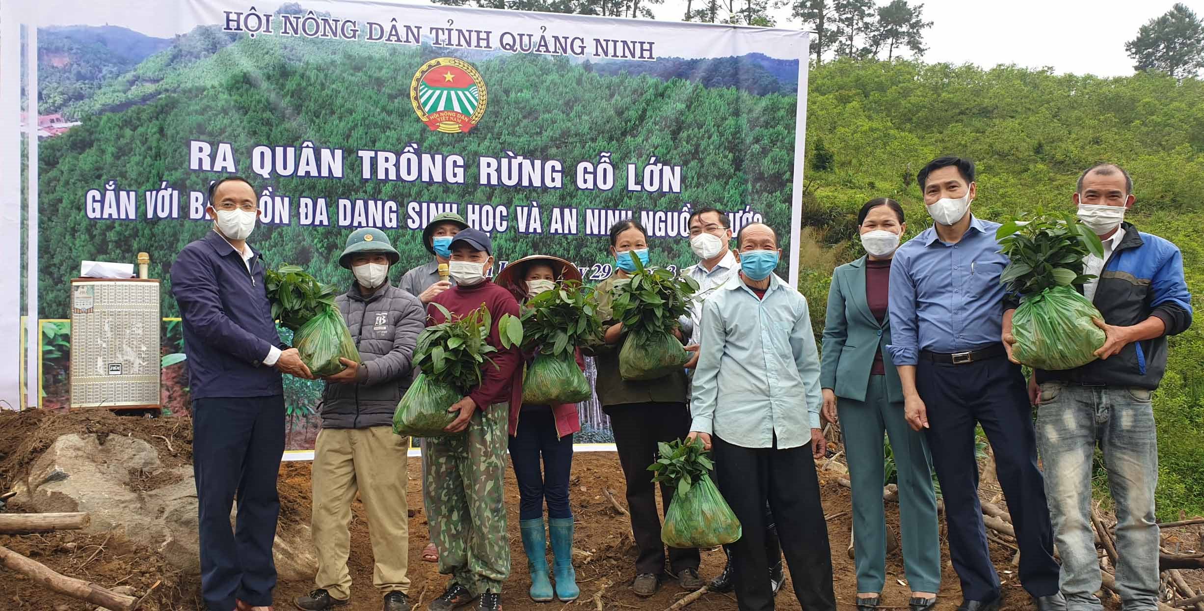 anh-qn-002.jpg