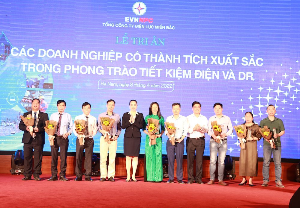 vinh-danh-cac-doanh-nghiep-co-thanh-tich-xuat-sac-trong-phong-trao-tiet-kiem-dien-va-dr..jpg