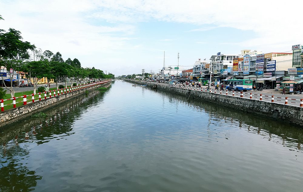 a2.-ty-le-cay-xanh.jpg