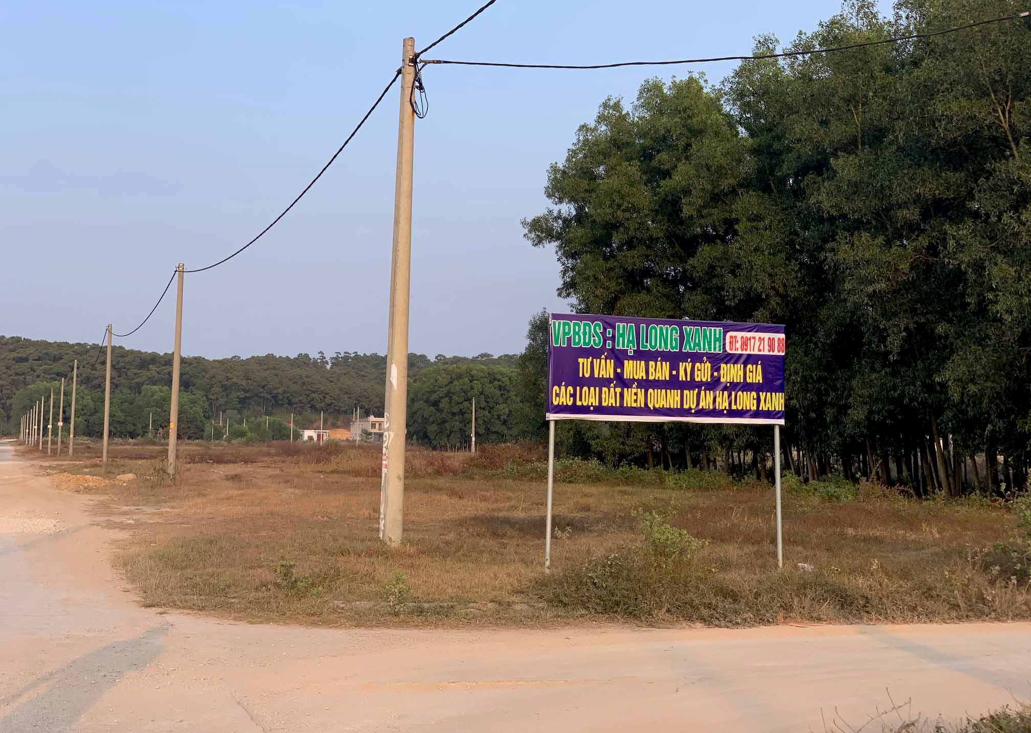 anh-qy-02.jpg