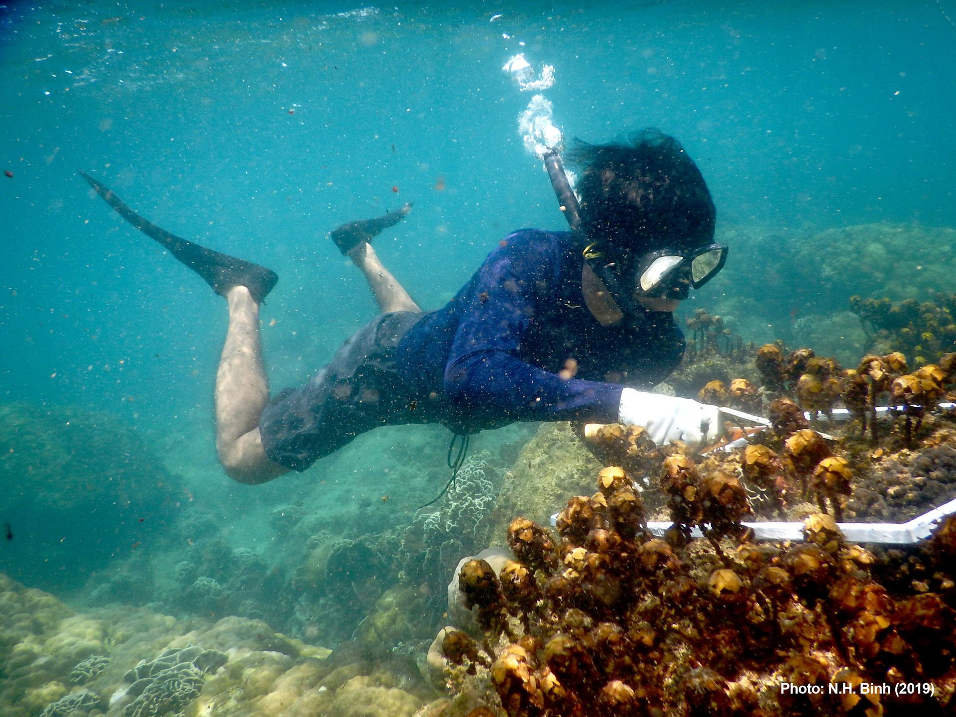 thu-mau-rong-tai-kbt-bien-phu-quoc_photo-by-n-huu-binh-min.jpg