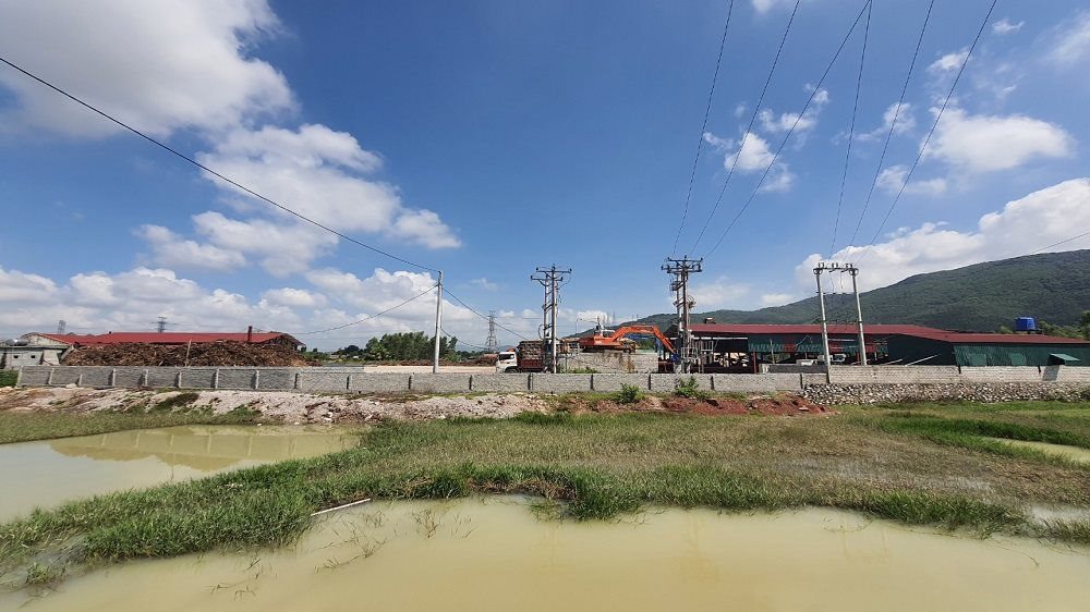vinhnhat1.jpg