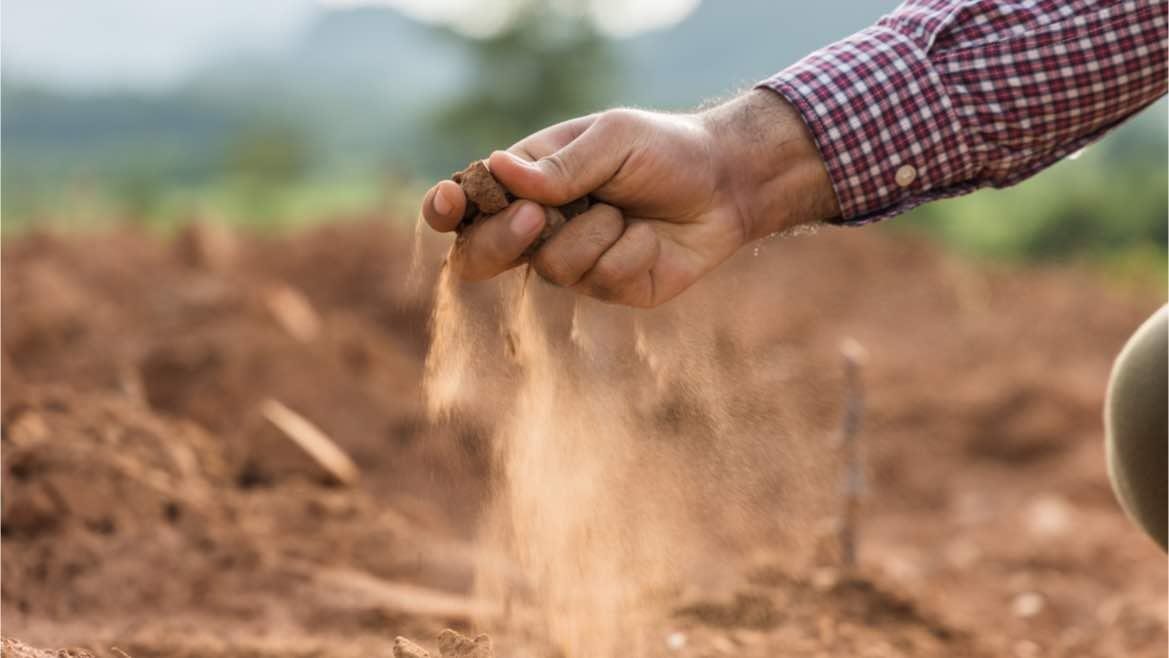 image-dry-soil(1).jpg