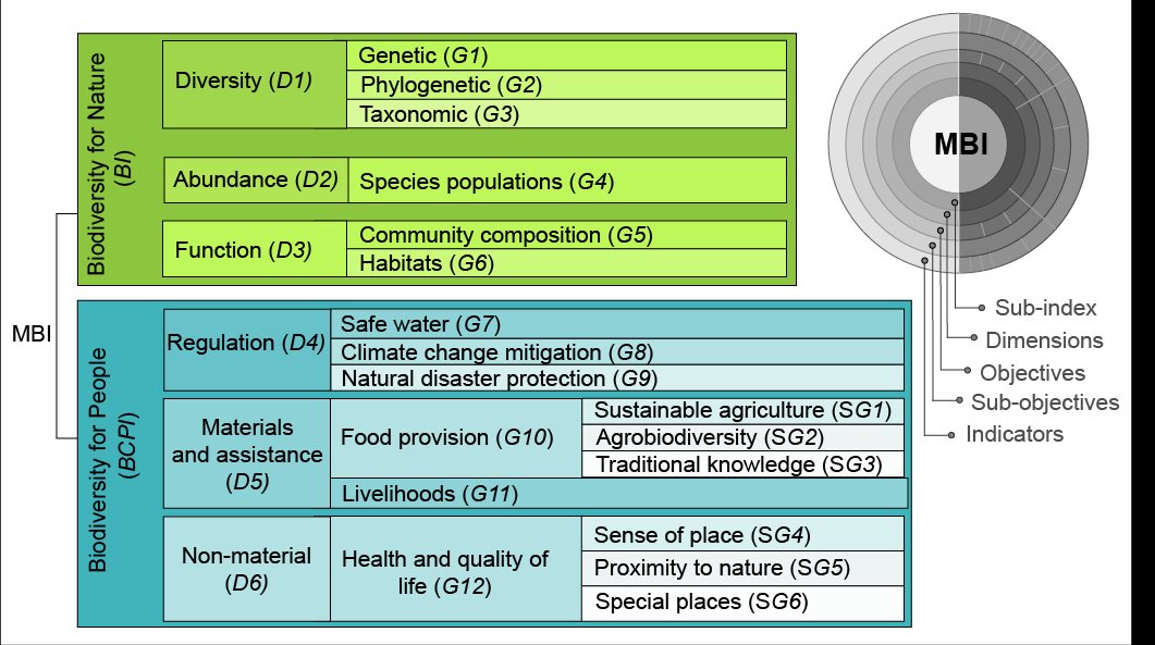 pic-mbi-framework(1).png