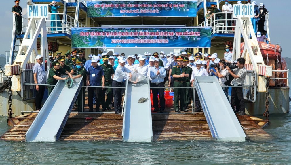 anh-qn-02.jpg