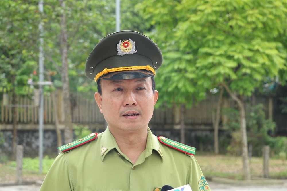 anh-1.-vt.jpg