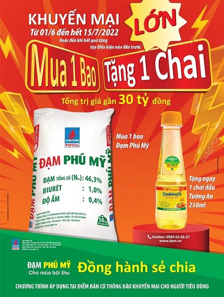 dam-phu-my-dong-hanh-se-chia.jpg