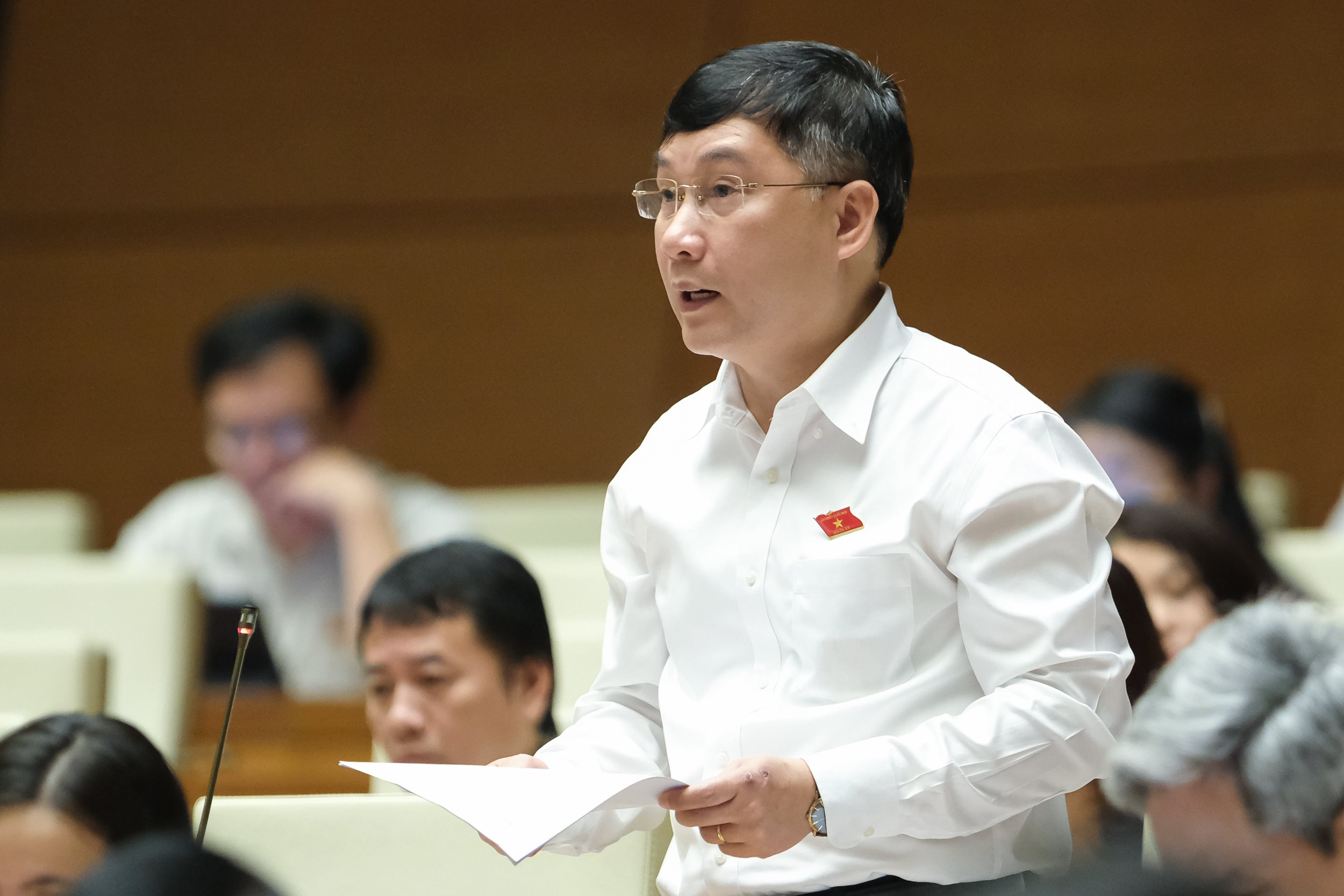le-hoang-anh.jpg