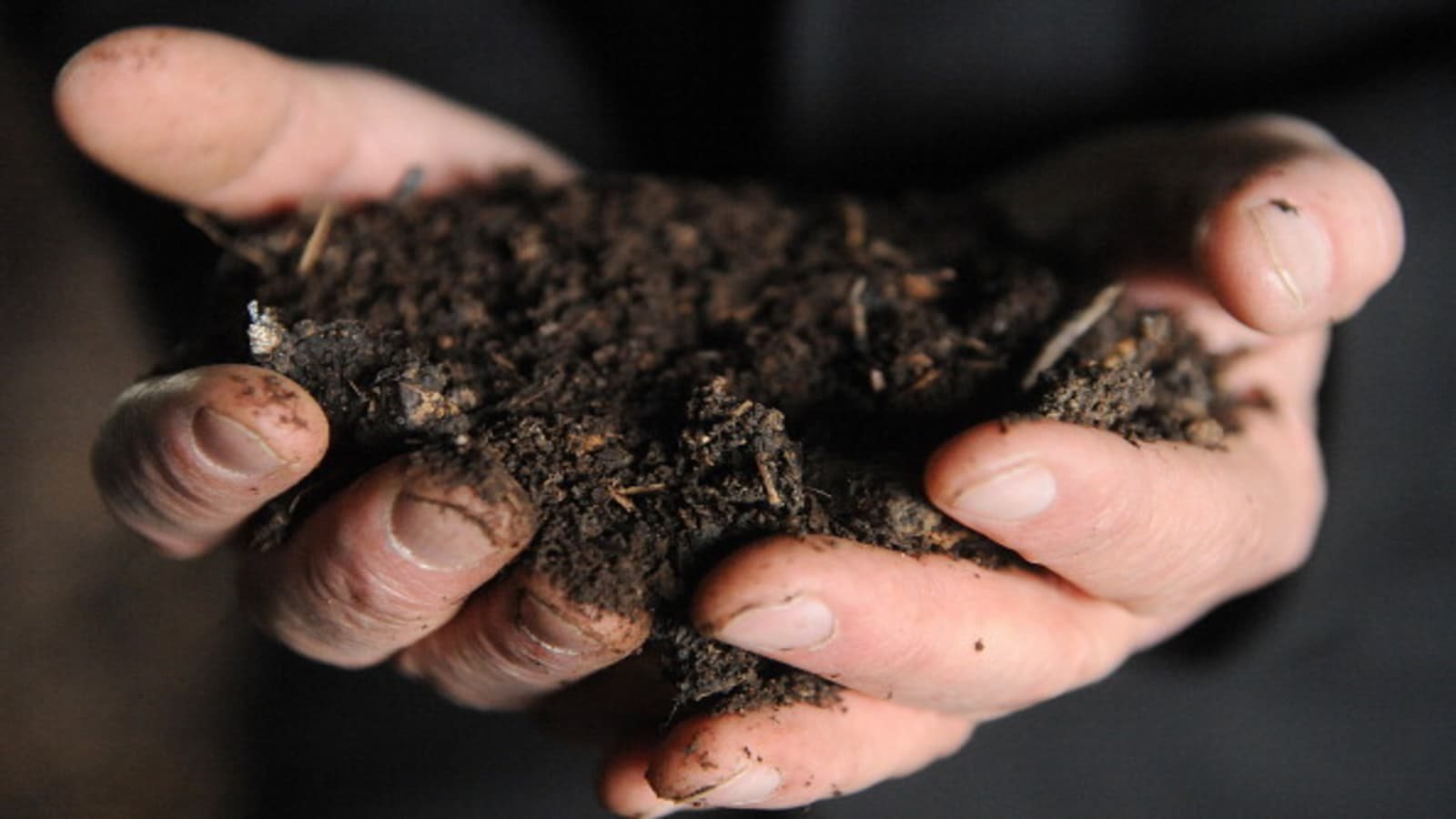 100450726-dirt(1).jpg