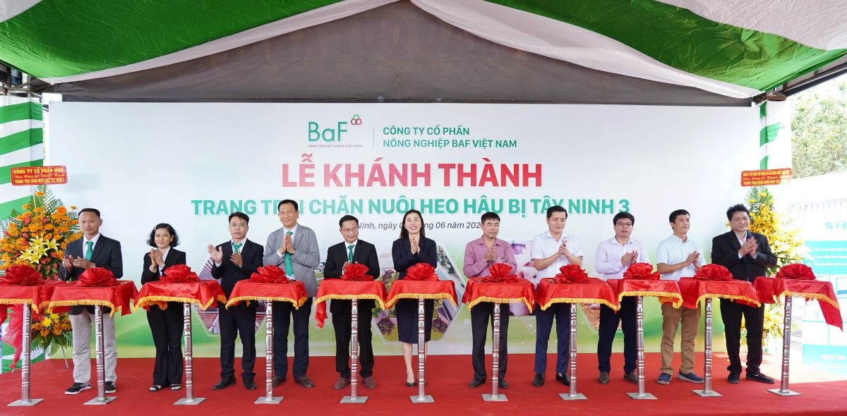 anh-cong-ty-3f-.jpg