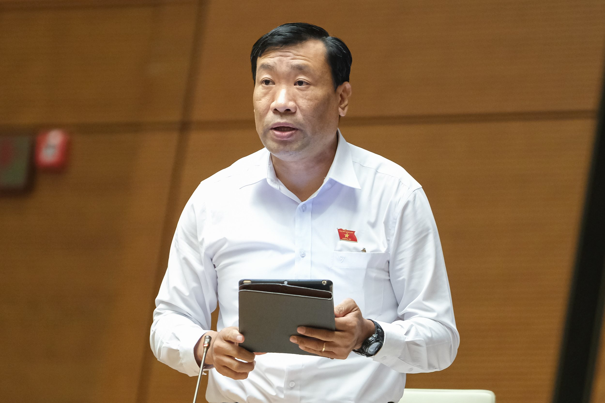 thach-phuoc-binh-tra-vinh-0610.jpg