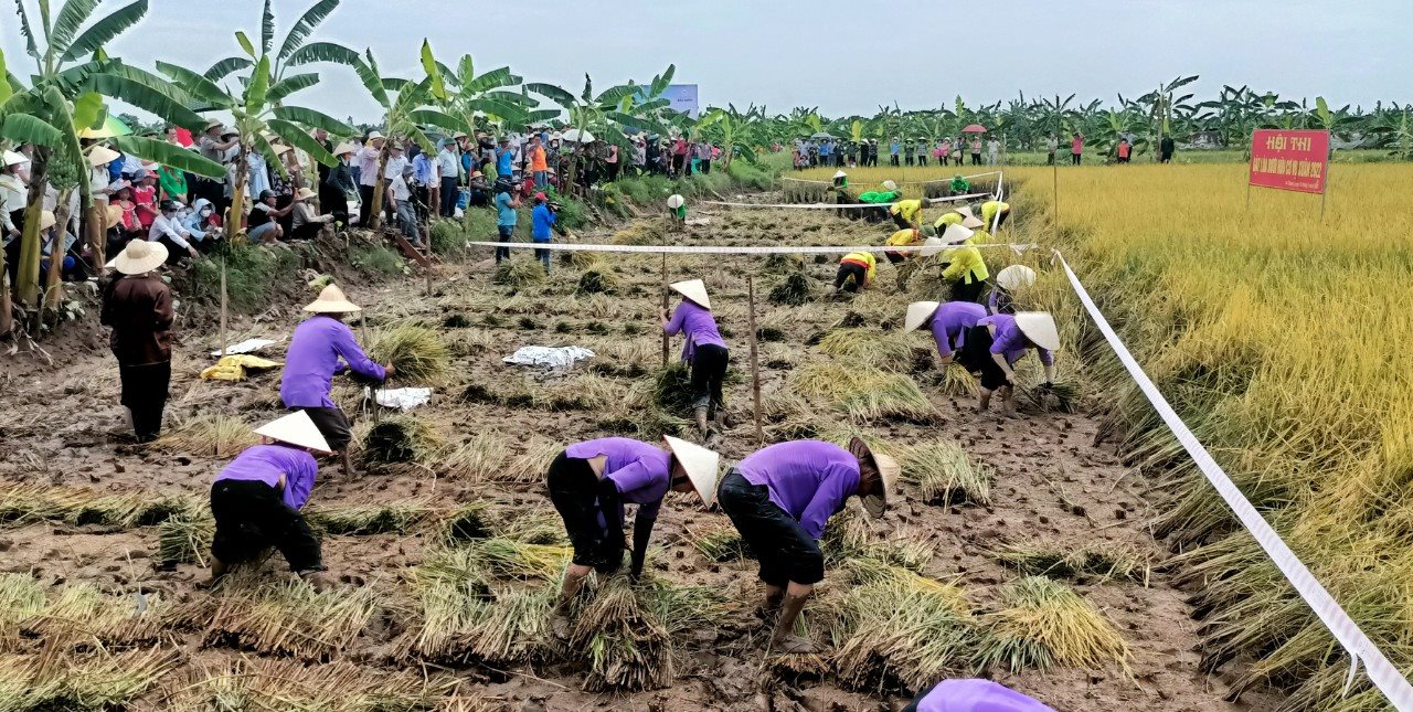 haiduong2.jpg