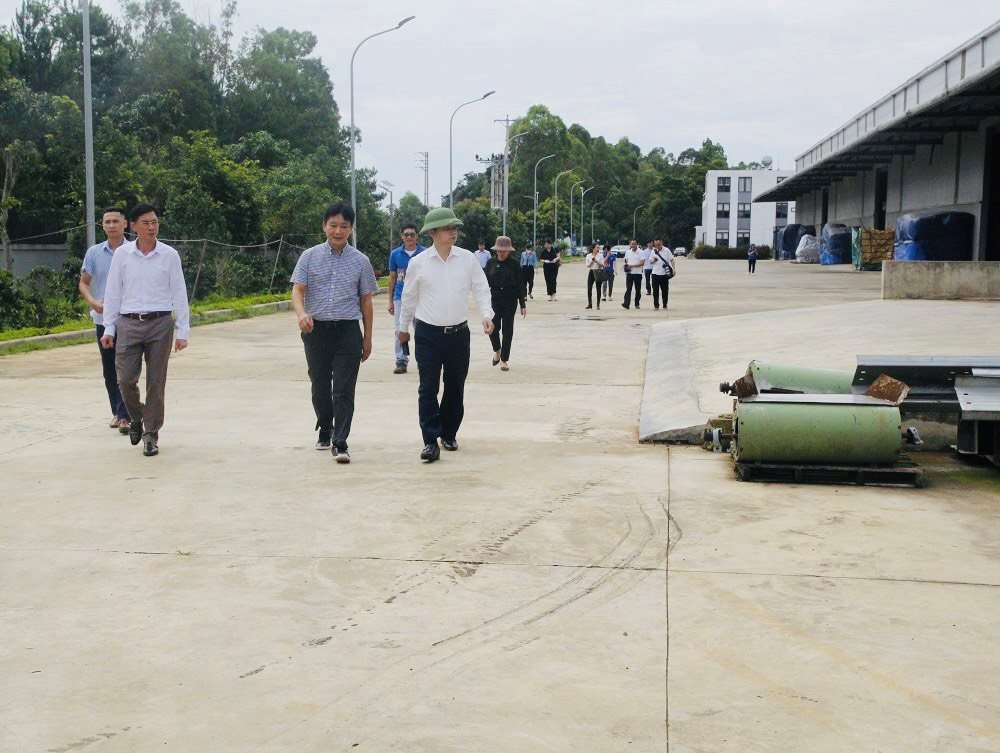 ktra-phuc-sinh-2.jpg