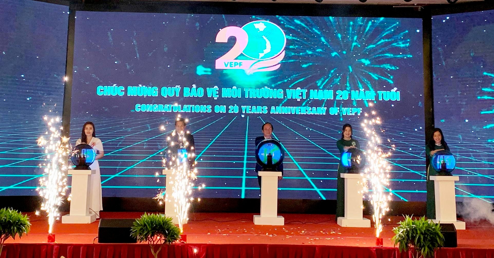 anh-qn-01.jpg
