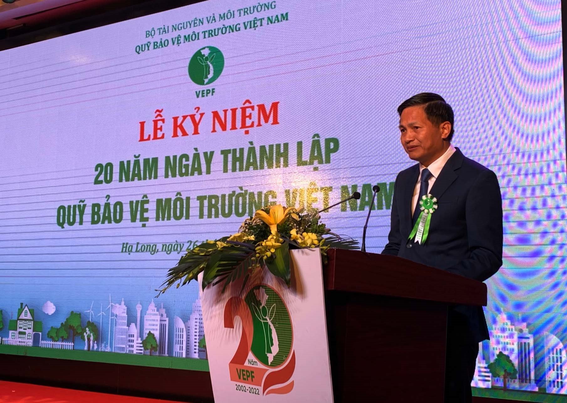 anh-qn-02.jpg