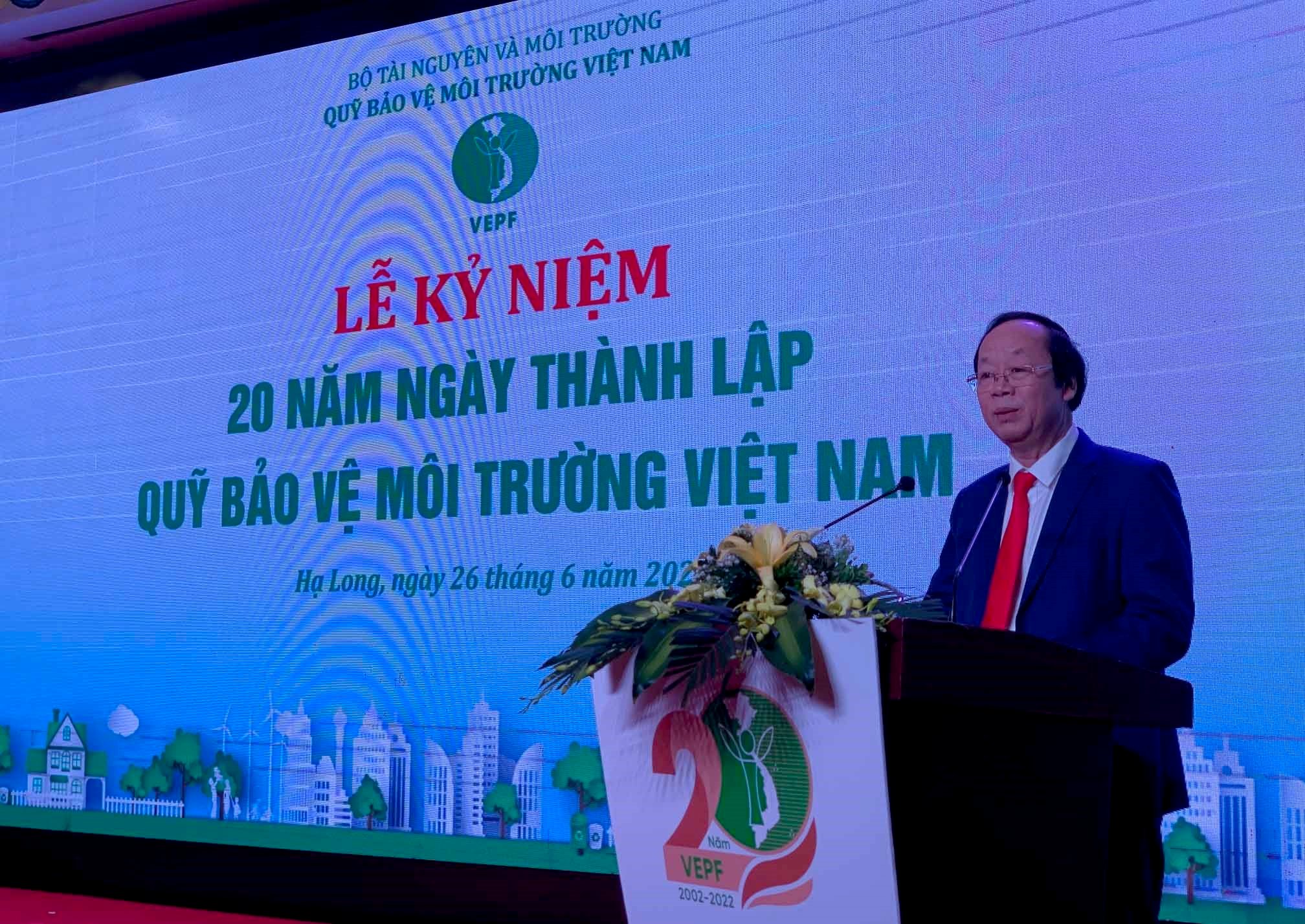 anh-qn-03.jpg