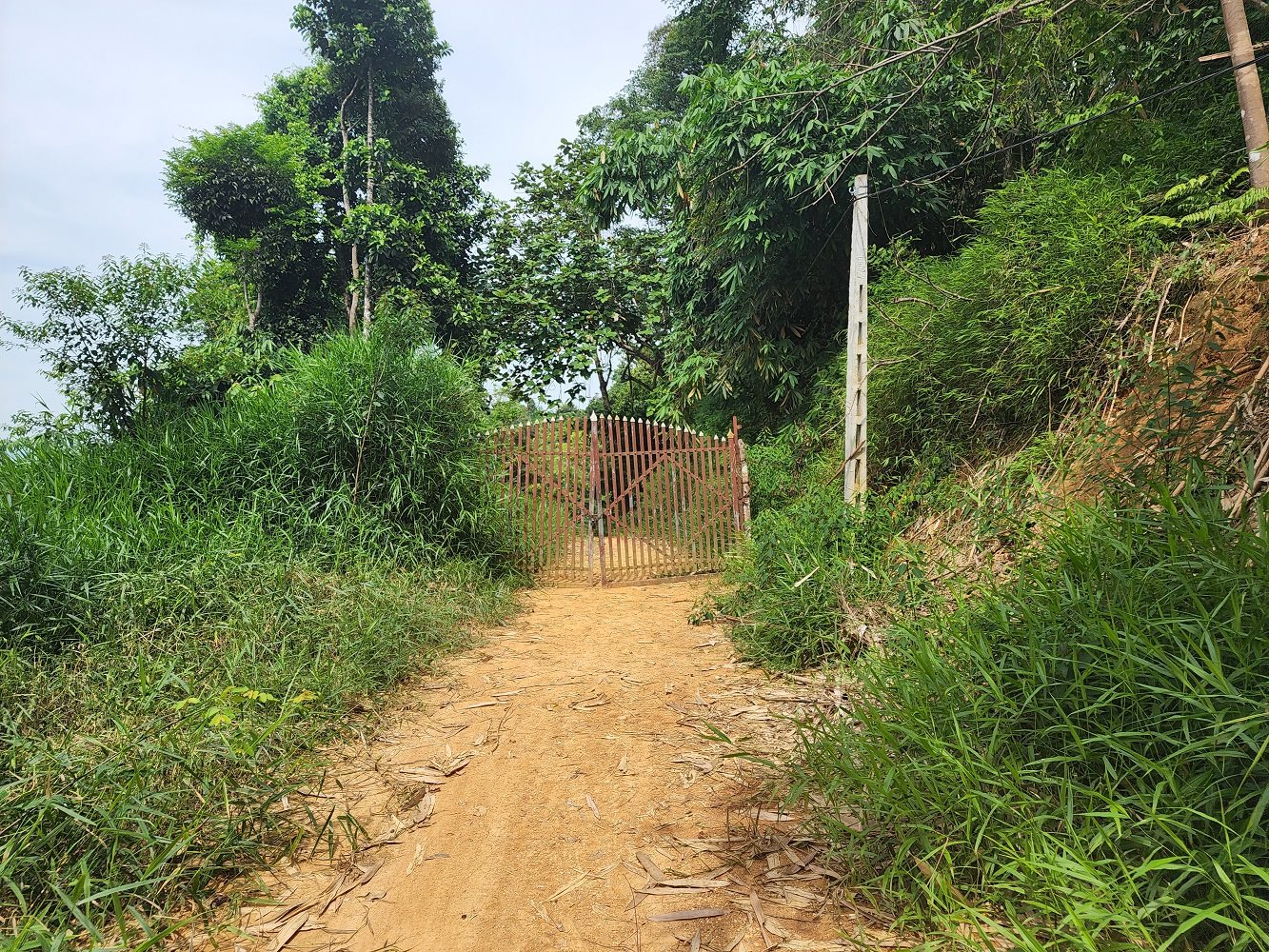 anh-1.jpg