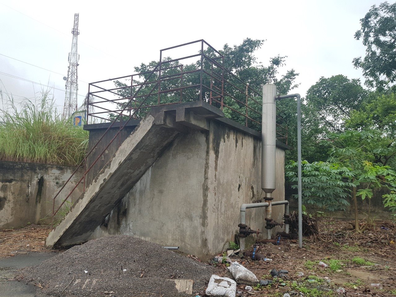 ns-1.jpg
