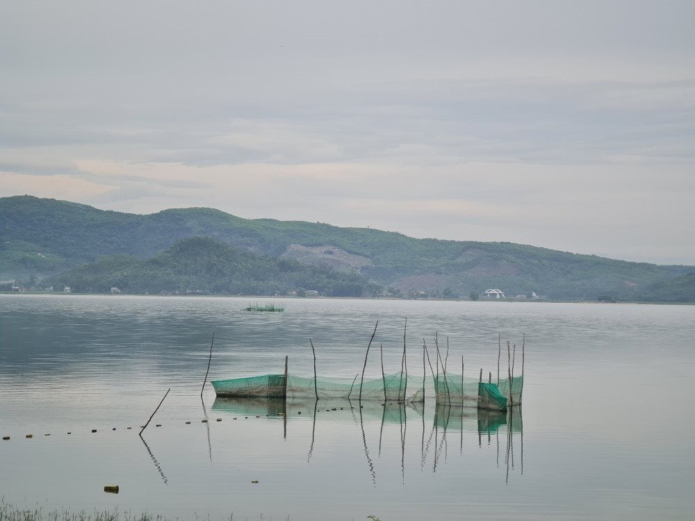dam3.jpg