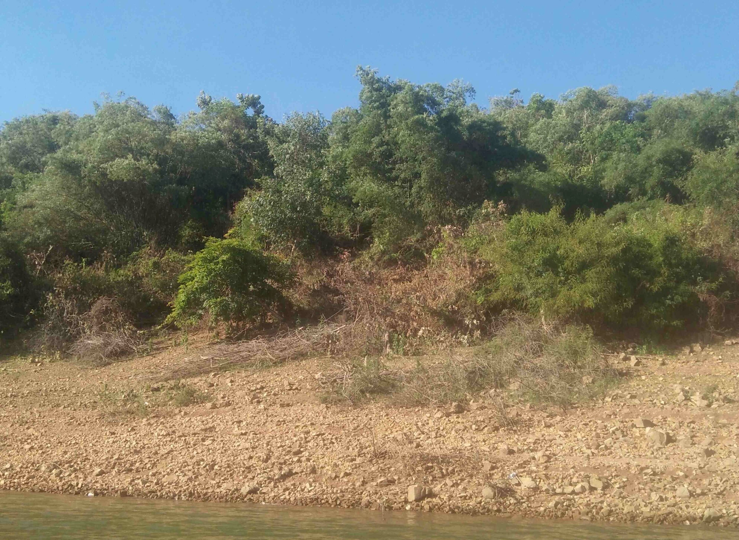z3545528887853_927fede993d107adaa514601688de924.jpg