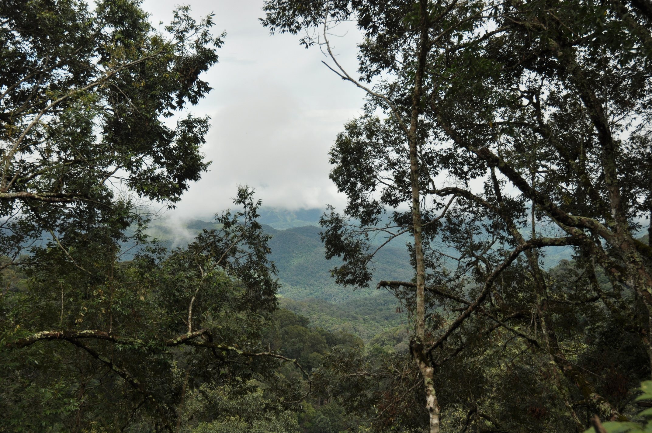 dsc_0072.jpg