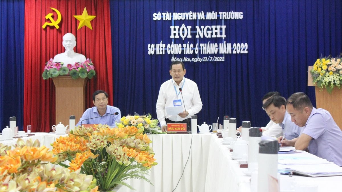 sdn3.jpg