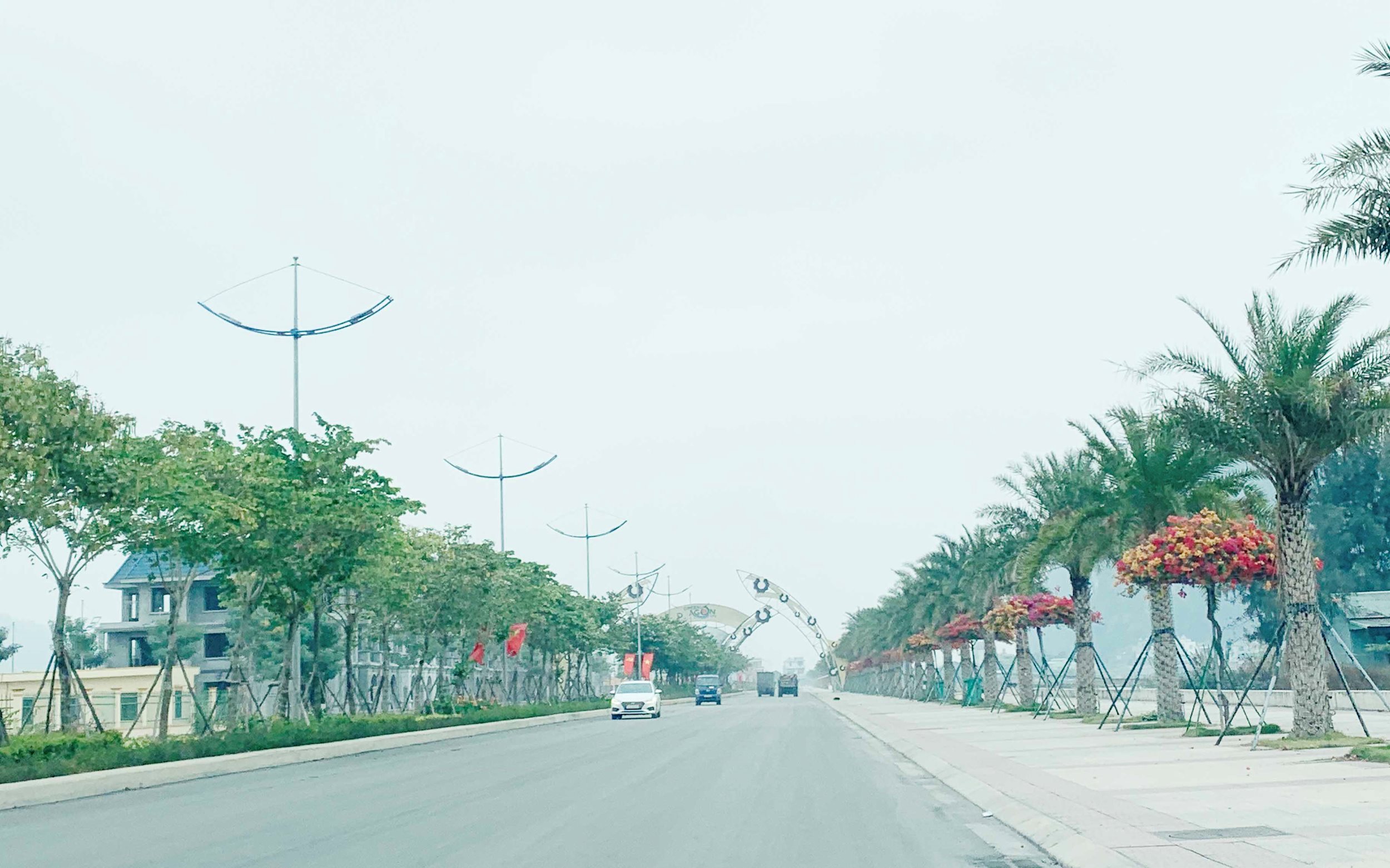 anh-qn-15.jpg