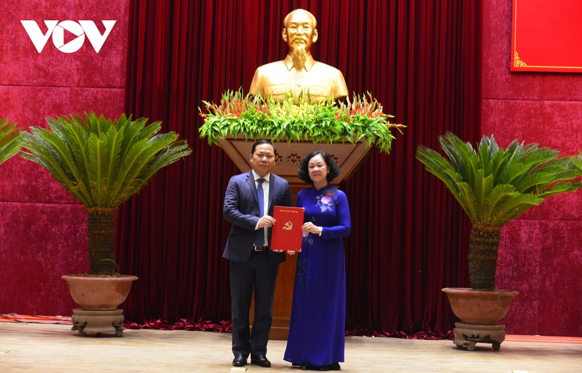 Dieu dong chu tich tinh binh Dinh nguyen phi long lam bi thu tinh uy hoa binh hinh anh 1