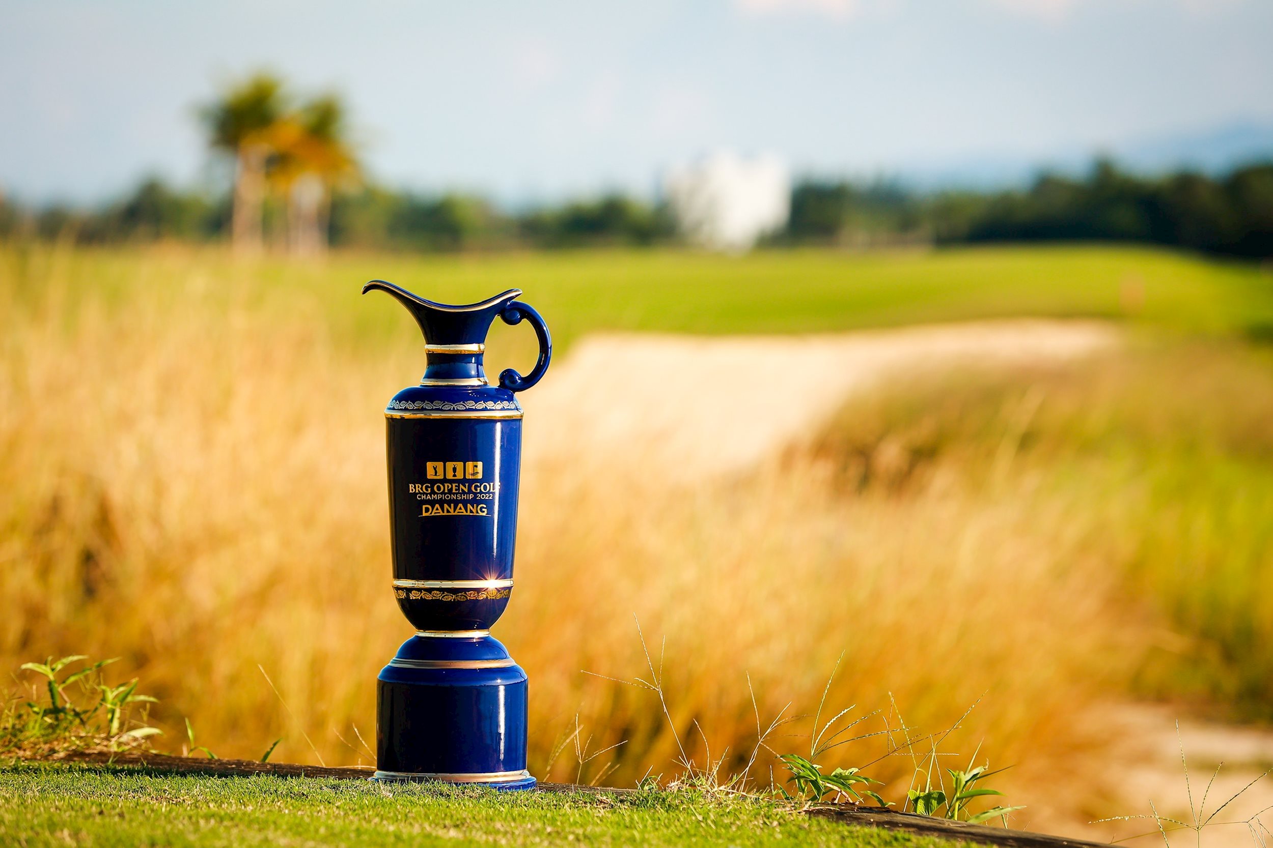can-canh-cup.jpg