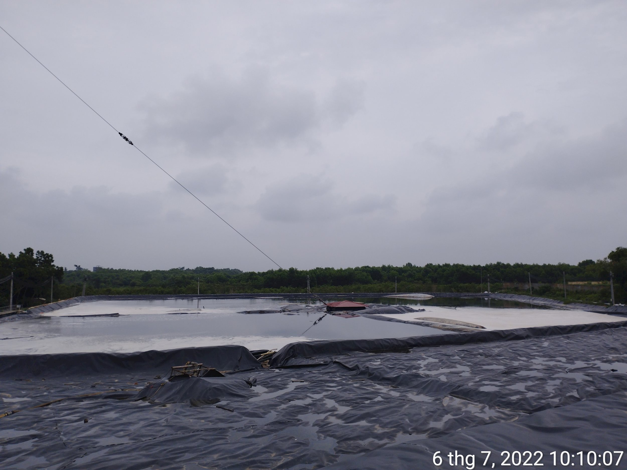 xs3.jpg
