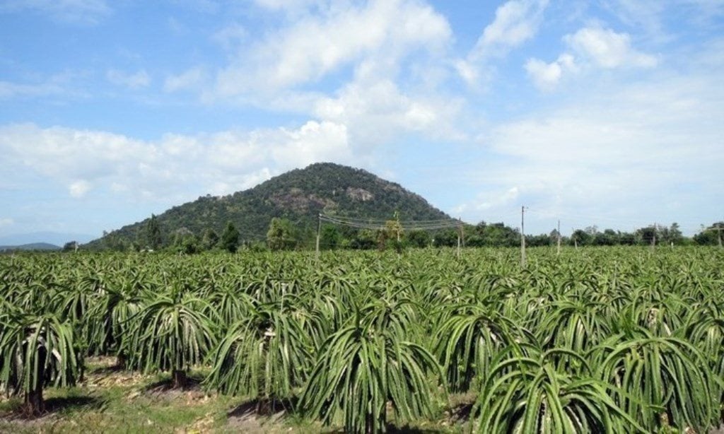 2-hieu-qua-su-dung-dat-binh-thuan.jpg