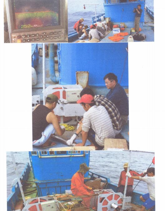do-tu-chung-1(1).png
